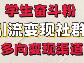 学生奋斗粉,引流变现做社群,多向变现渠道