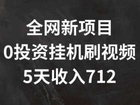 全网新项目，0投资挂JI刷视频，5天收益几张