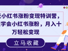 19天小红书涨粉变现特训营,快速学会小红书涨粉,月入十万轻松变现