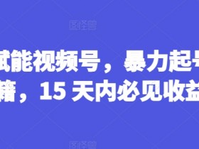 AI赋能视频号,暴力起号秘籍,15 天内必见收益【揭秘】