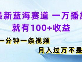 最新蓝海赛道,一万播放就有100+收益,一分钟一条视频,月入过万