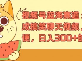 视频号蓝海赛道:AI 生成搞笑聊天视频,操作简便,日入300+的教程【揭秘】