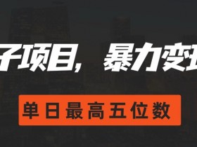 搭子项目,暴力变现,单日最高破五位数