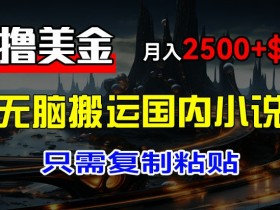 最新撸美金项目,搬运国内小说爽文,只需复制粘贴,稿费月入2500+美金,新手也能快速上手【揭秘】