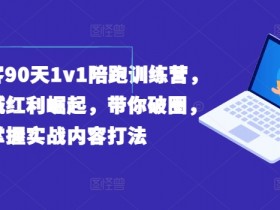 实体获客90天1v1陪跑训练营,实体同城红利崛起,带你破圈,掌握实战内容打法