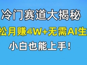 冷门赛道大揭秘，轻松月赚1W+无需AI生成，小白也能上手【揭秘】