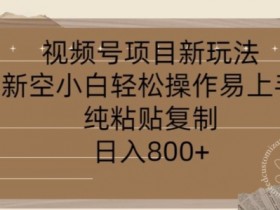 视频号项目,新玩法新空小白轻松操作易上手,纯粘贴复制,日入几张