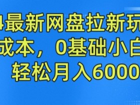 2024最新网盘拉新玩法,无需成本,0基础小白可做,轻松月入6000+【揭秘】