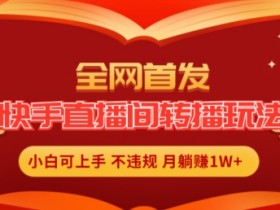 全网首发，快手直播间转播玩法简单躺赚，真正的全无人直播，小白轻松上手月入1W+【揭秘】