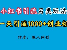 2024小红书引流另类玩法,一天引流1000+创业粉
