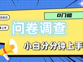 0门槛问卷调查,小白分分钟上手,轻松日入2张