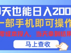 聊天也能日入200+,一部手机即可轻松操作,零成本投入,当天就能拿到结果