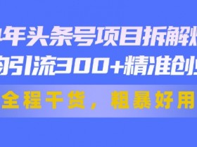 24年头条号项目拆解爆文,日均引流300+精准创业粉,全程干货,粗暴好用