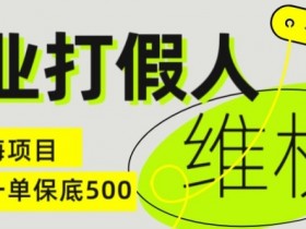 职业打假人电商维权揭秘,一单保底500,全新冷门暴利项目【仅揭秘】