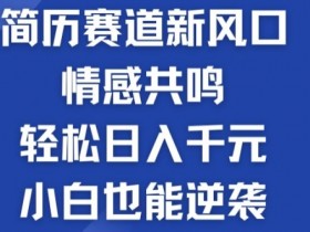 揭秘!简历模板赛道的新风口,情感共鸣,轻松日入千元,小白也能逆袭!