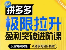 拼多多极限拉升盈利突破进阶课,从算法到玩法,从玩法到团队搭建,体系化系统性帮助商家实现利润提升