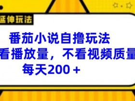 番茄小说自撸玩法,不看播放量,不看视频质量,每天200+【揭秘】