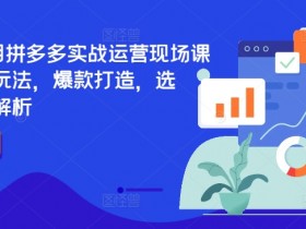 2024年7月拼多多实战运营现场课程,实时玩法,爆款打造,选品、规则解析