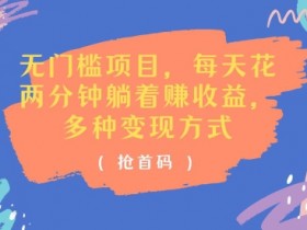 无门槛项目,每天花两分钟躺着收益,多种收益方式(抢首码)