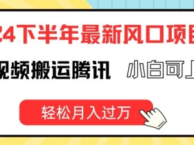 2024下半年最新风口项自,海外视频搬运腾讯,小白可上手,轻松月入过万【揭秘】