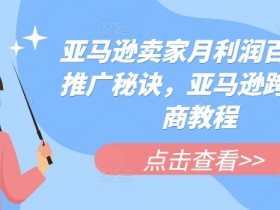 亚马逊卖家月利润百万的推广秘诀,亚马逊跨境电商教程
