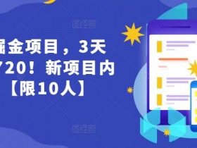 货币掘金项目,3天卖了2720!新项目内测组【限10人】