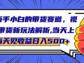 适合新手小白的带货赛道,视频号带货新玩法解析,当天上手当天见收益,日入500+