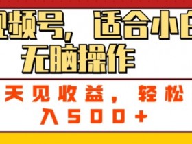 ai视频号,适合小白无脑操作,当天见收益,轻松日入5张