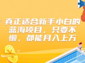 真正适合新手小白的蓝海项目，只要不懒，都能月入上w
