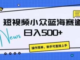 短视频小众蓝海赛道,操作简单,日入几张
