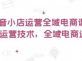 抖音小店运营全域电商课,小店运营技术,全域电商运营