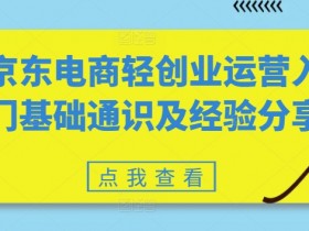 京东电商轻创业运营入门基础通识及经验分享