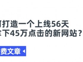 某付费文章《如何打造一个上线56天就拿下45万点击的新网站?》