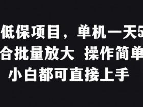 稳定低保项目,单机一天50+适合批量放大 操作简单 小白都可直接上手【揭秘】
