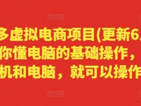 拼多多虚拟电商项目(更新6月),只要你懂电脑的基础操作,有手机和电脑,就可以操作
