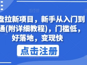网盘拉新项目，新手从入门到精通(附详细教程)，门槛低，好落地，变现快