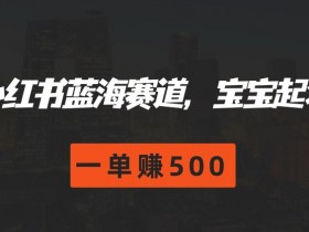 小红书蓝海赛道,宝宝起名,一单赚500