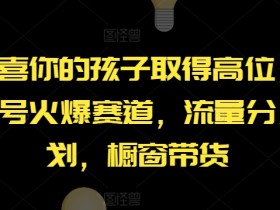 【恭喜你的孩子取得高位】AI视频号火爆赛道,流量分成计划,橱窗带货【揭秘】