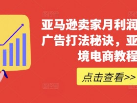 亚马逊卖家月利润百万的广告打法秘诀,亚马逊跨境电商教程