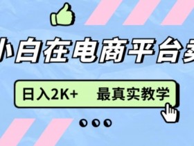 最新无货源0成本电商,新手小白可做,后端扶持拉满,细致教学