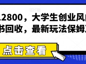 月入12800，大学生创业风向标，二手书回收，最新玩法保姆及教学