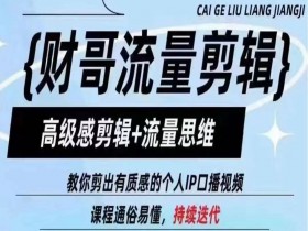 财哥流量剪辑,高级感剪辑+流量思维,教你剪出有质感的个人IP口播视频