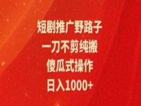暑假风口项目,短剧推广全新玩法,一刀不剪纯搬运,轻松日入1000+