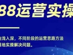 1688实操运营课,零基础学会1688实操运营,电商年入百万不是梦