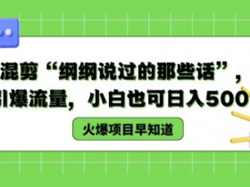 德云混剪“纲纲说过的那些话”,轻松引爆流量,小白也可日入500+【揭秘 】