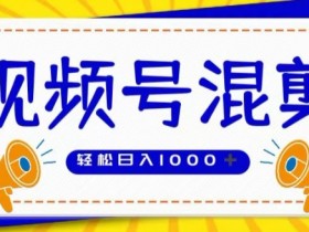 视频号娱乐混剪,单日收益最高上W,大力出奇迹, 执行即赚