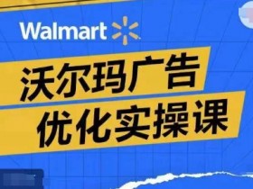 沃尔玛广告优化实操课,广告报告实操讲解,广告如何提高转化和ROAS等