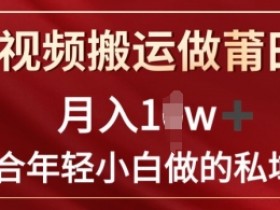 靠短视频搬运做莆田鞋月入1w+简单暴利,最适合年轻小白做的私域变现项目