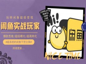 手把手教你0到1系统玩转闲鱼变现,爆款思维/超级曝光/超高转化