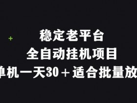 稳定老平台,全自动挂机项目,单机一天30+适合批量放大